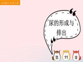 2023七年级生物下册第四单元生物圈中的人第11章人体代谢废物的排出第2节尿的形成与排出第二课时尿的形成与排出课件新版北师大版