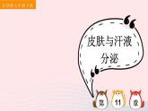 2023七年级生物下册第四单元生物圈中的人第11章人体代谢废物的排出第3节皮肤与汗液分泌课件新版北师大版