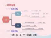 2023七年级生物下册第四单元生物圈中的人第11章人体代谢废物的排出第3节皮肤与汗液分泌课件新版北师大版