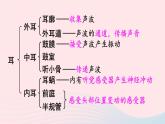 2023七年级生物下册第四单元生物圈中的人第12章人体的自我调节第2节感受器和感觉器官第二课时耳与听觉及其他感觉课件新版北师大版