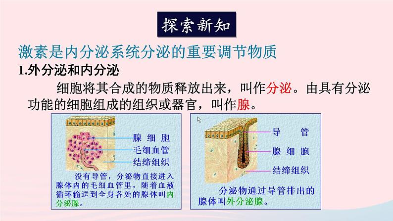 2023七年级生物下册第四单元生物圈中的人第12章人体的自我调节第3节激素调节课件新版北师大版第3页