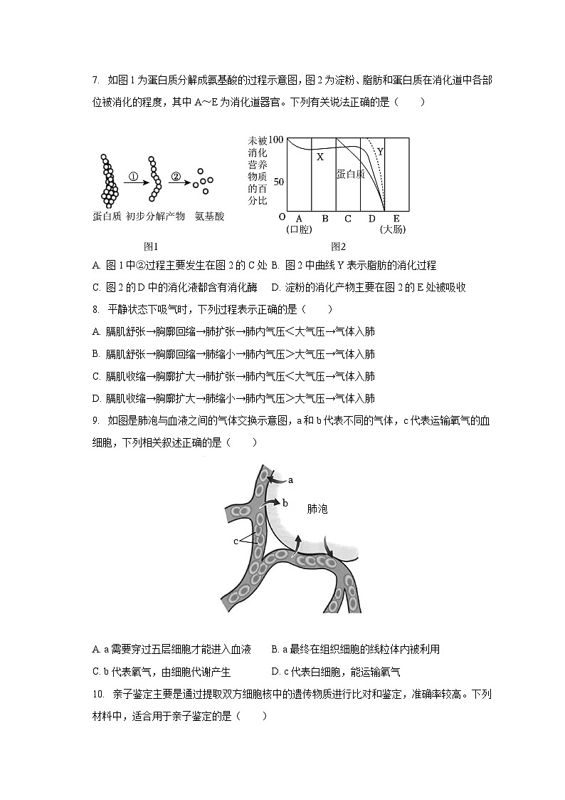 2022-2023学年陕西省咸阳市武功县七年级（下）期末生物试卷（含解析）第2页