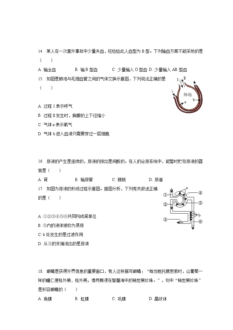 2022-2023学年陕西省咸阳市兴平市七年级（下）期末生物试卷（含解析）03