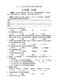 湖南省湘西州永顺县2019-2020学年七年级下学期期末教学质量检测生物试题