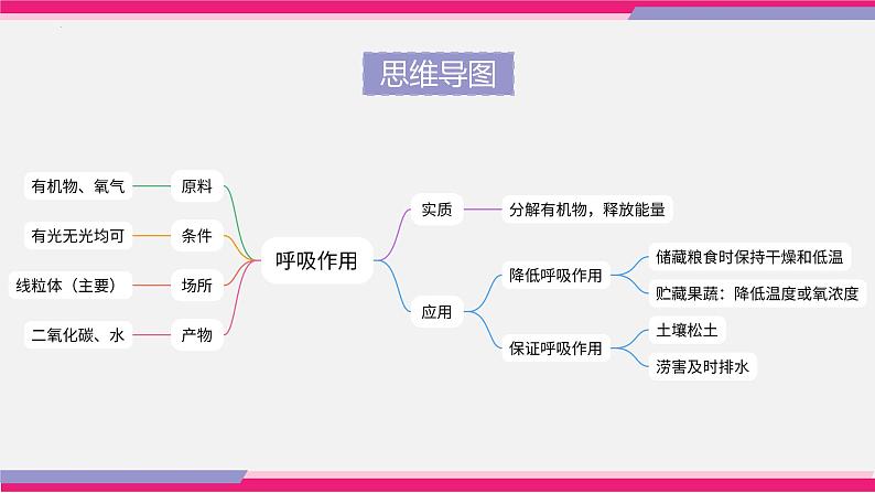 专题08 绿色植物的呼吸作用（课件精讲）-2023年中考生物一轮复习讲练测第5页