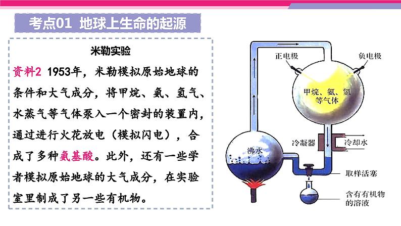 专题21 生命起源和生物进化（课件精讲）-2023年中考生物一轮复习讲练测08