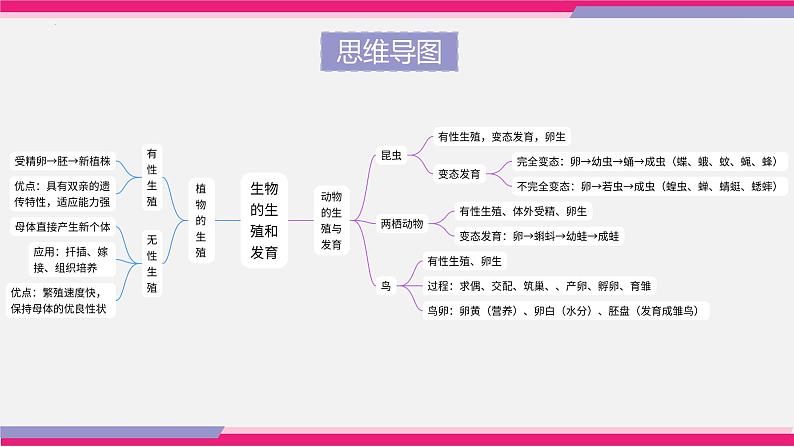 专题19 生物的生殖和发育（课件精讲）-2023年中考生物一轮复习讲练测05