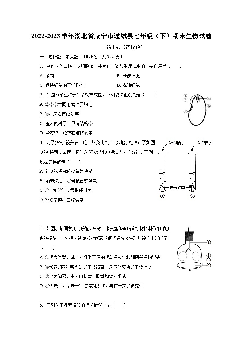 2022-2023学年湖北省咸宁市通城县七年级（下）期末生物试卷（含解析）第1页