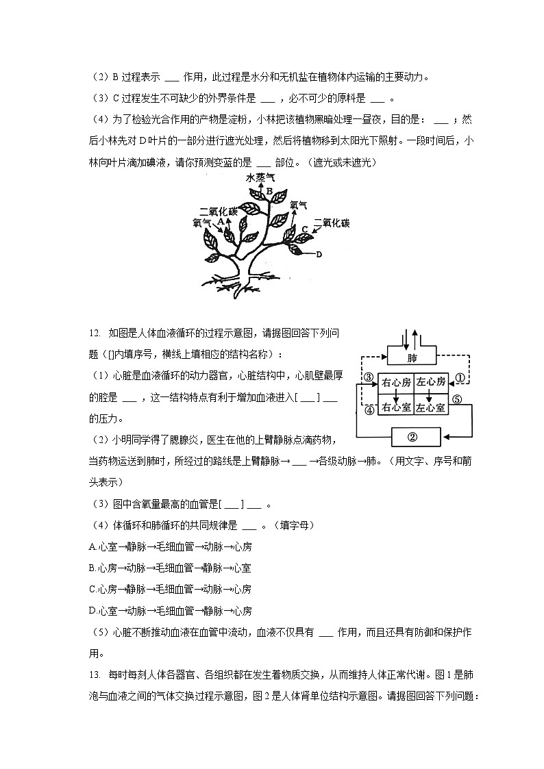2022-2023学年湖北省咸宁市通城县七年级（下）期末生物试卷（含解析）第3页