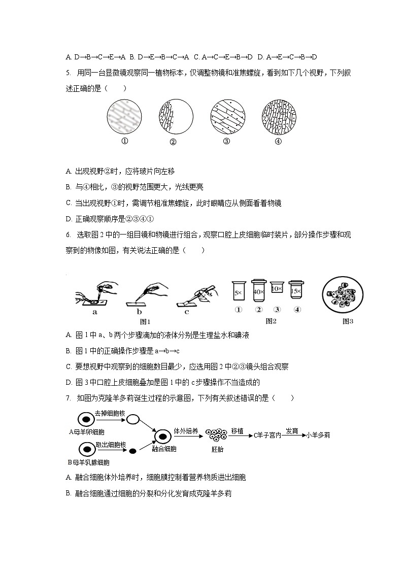 2022-2023学年湖北省十堰二中七年级（下）开学生物试卷（含解析）02