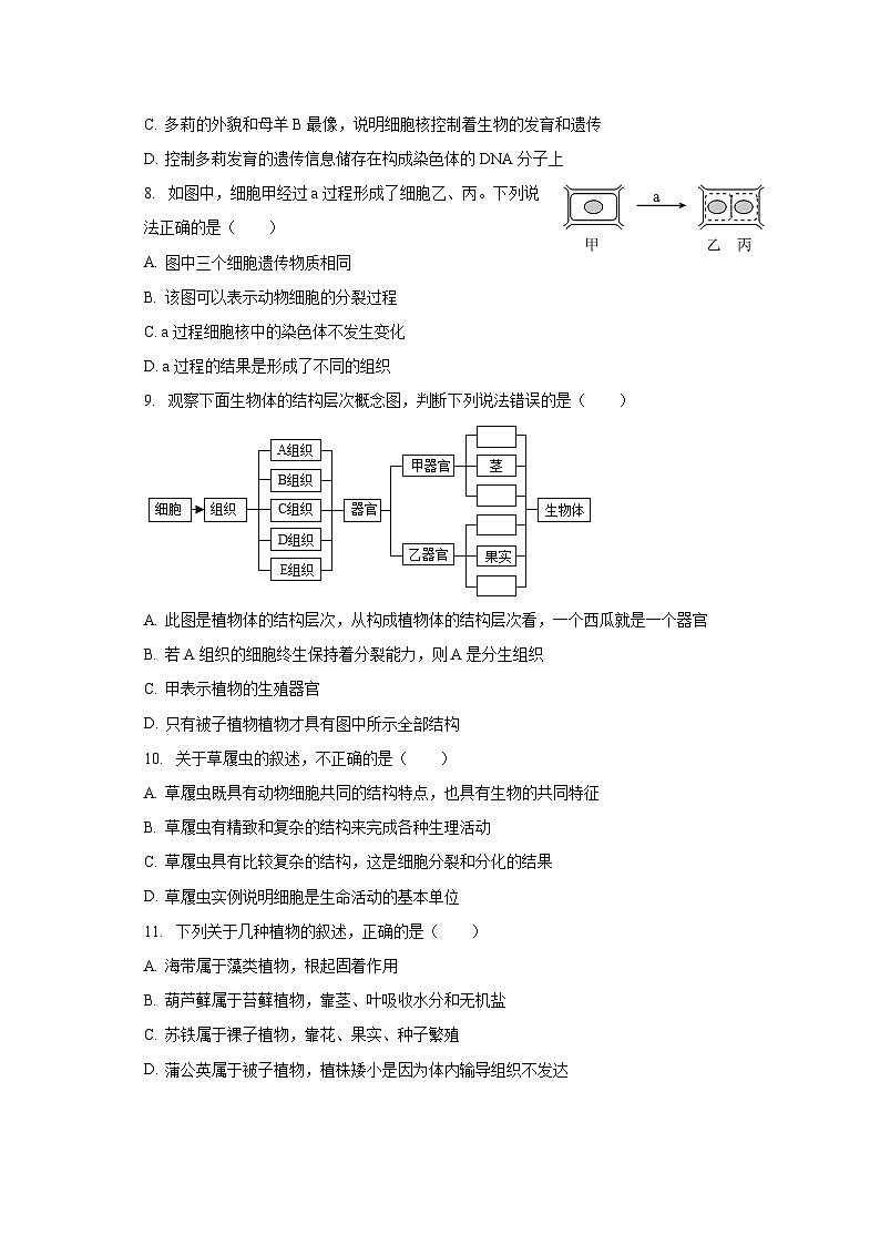 2022-2023学年湖北省十堰二中七年级（下）开学生物试卷（含解析）03