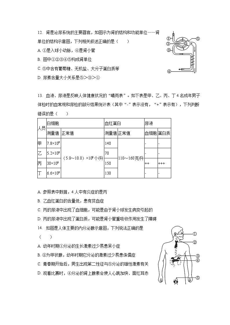 2022-2023学年山西省临汾市七年级（下）期末生物试卷（B卷）（含解析）03