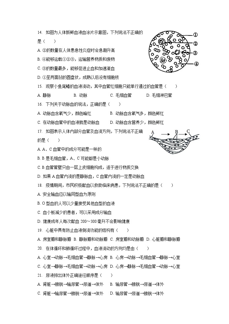2022-2023学年新疆克拉玛依市白碱滩区七年级（下）期末生物试卷（含解析）第3页