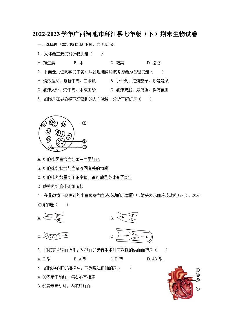2022-2023学年广西河池市环江县七年级（下）期末生物试卷（含解析）01