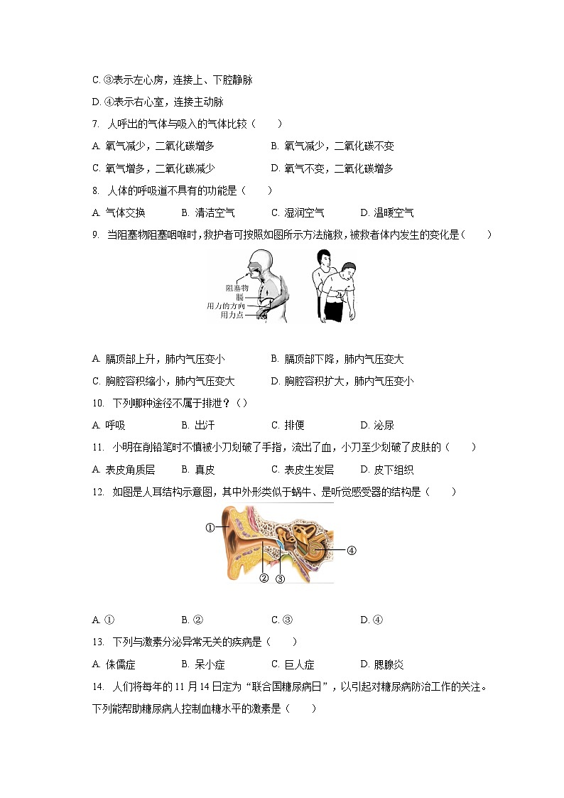 2022-2023学年广西河池市环江县七年级（下）期末生物试卷（含解析）02