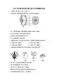 2023年吉林省松原市部分校中考生物模拟试卷（含解析）