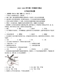 山东省德州市第九中学2022-2023学年七年级下学期期中生物试题