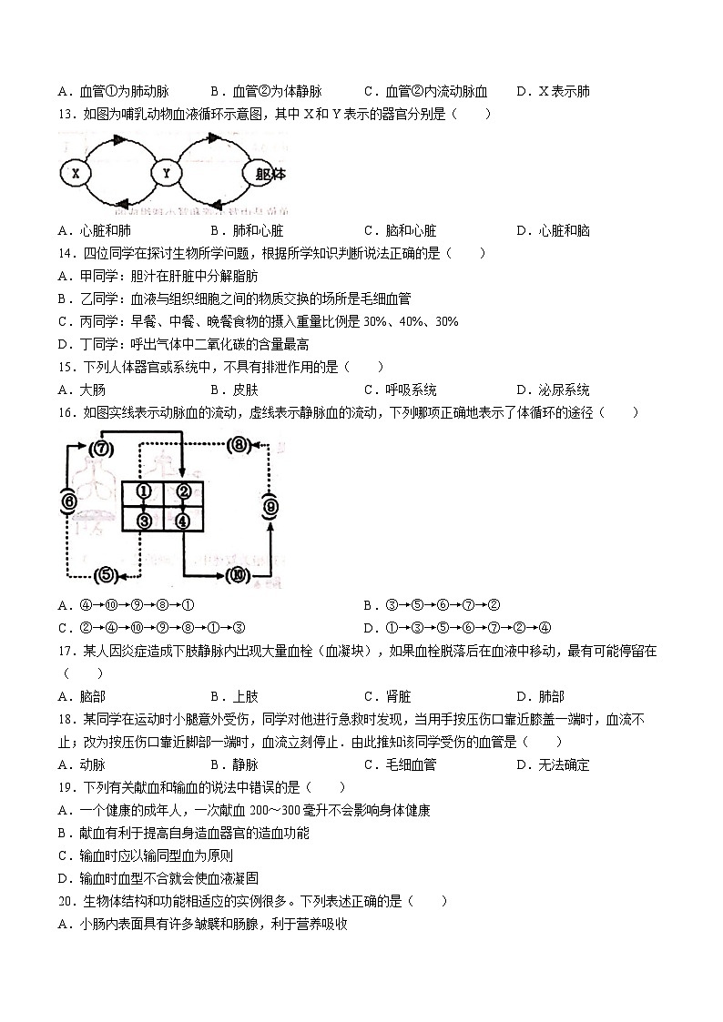 山东省德州市第九中学2022-2023学年七年级下学期期中生物试题第3页
