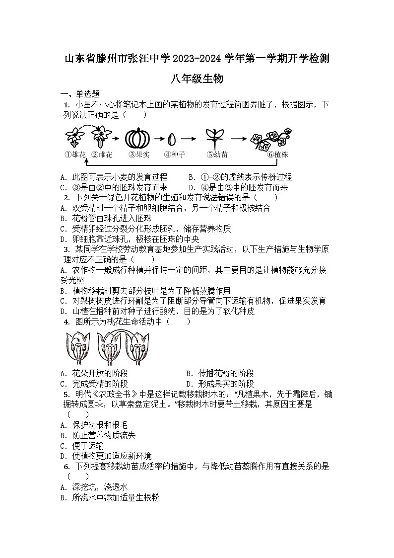 山东省滕州市张汪中学2023-2024学年八年级上学期开学检测生物试题01