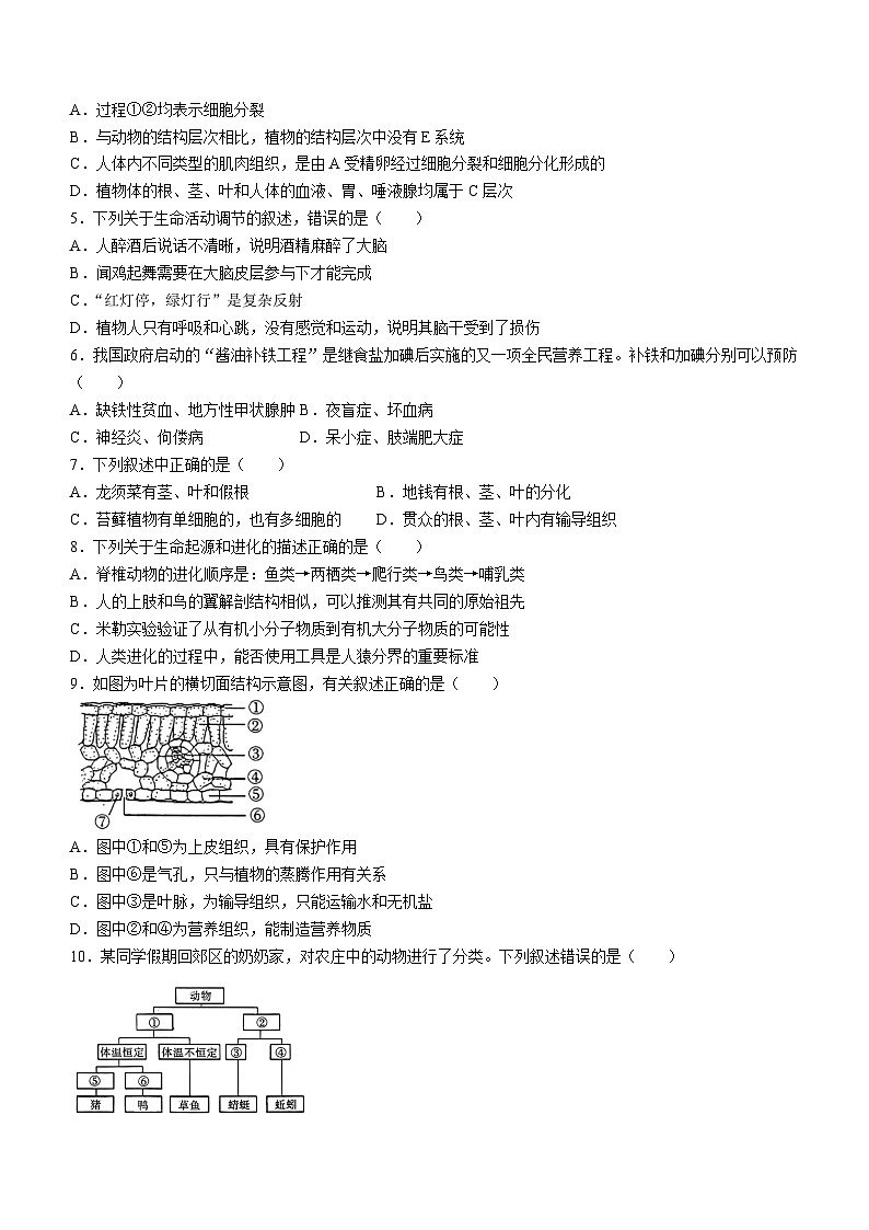 山东省烟台市莱州市2022-2023学年八年级下学期期中生物试题02