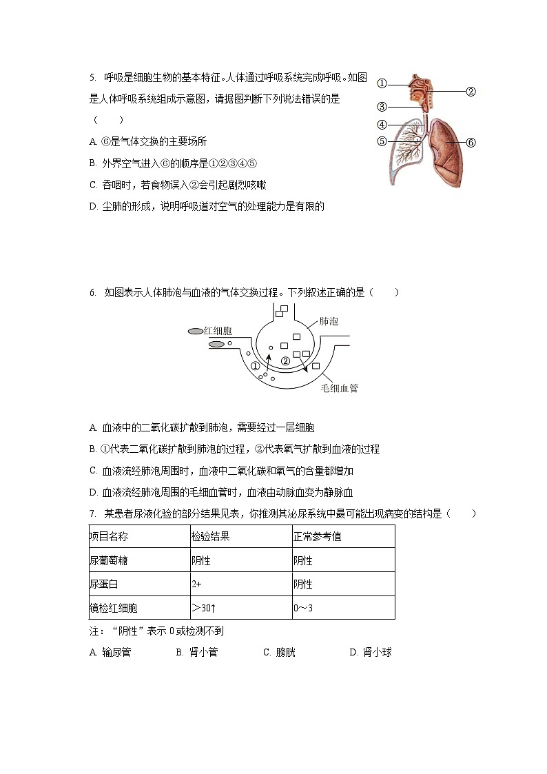 2022-2023学年湖北省鄂州市鄂城区七年级（下）期末生物试卷（含解析）第2页