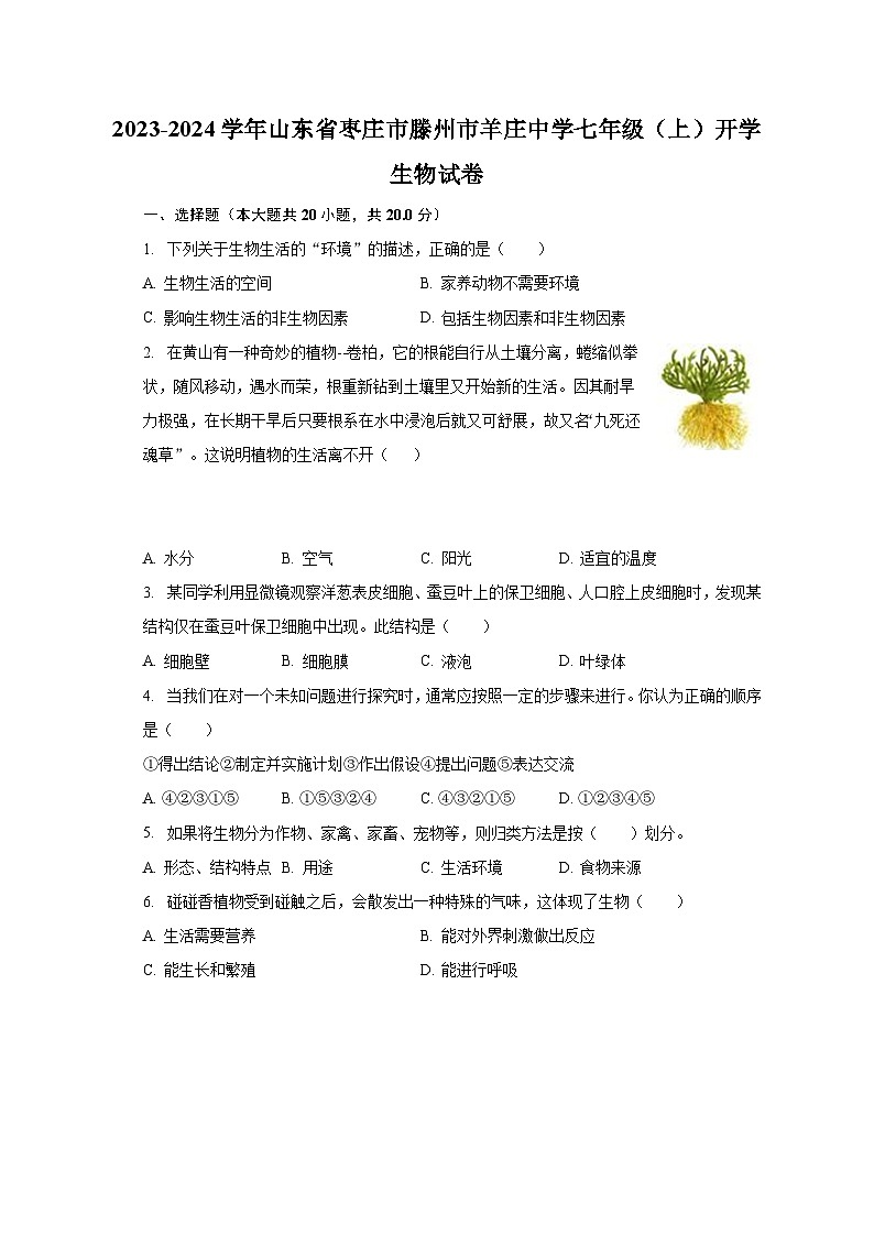 山东省枣庄市滕州市羊庄中学2023-2024学年七年级上学期开学生物试卷（含答案）01