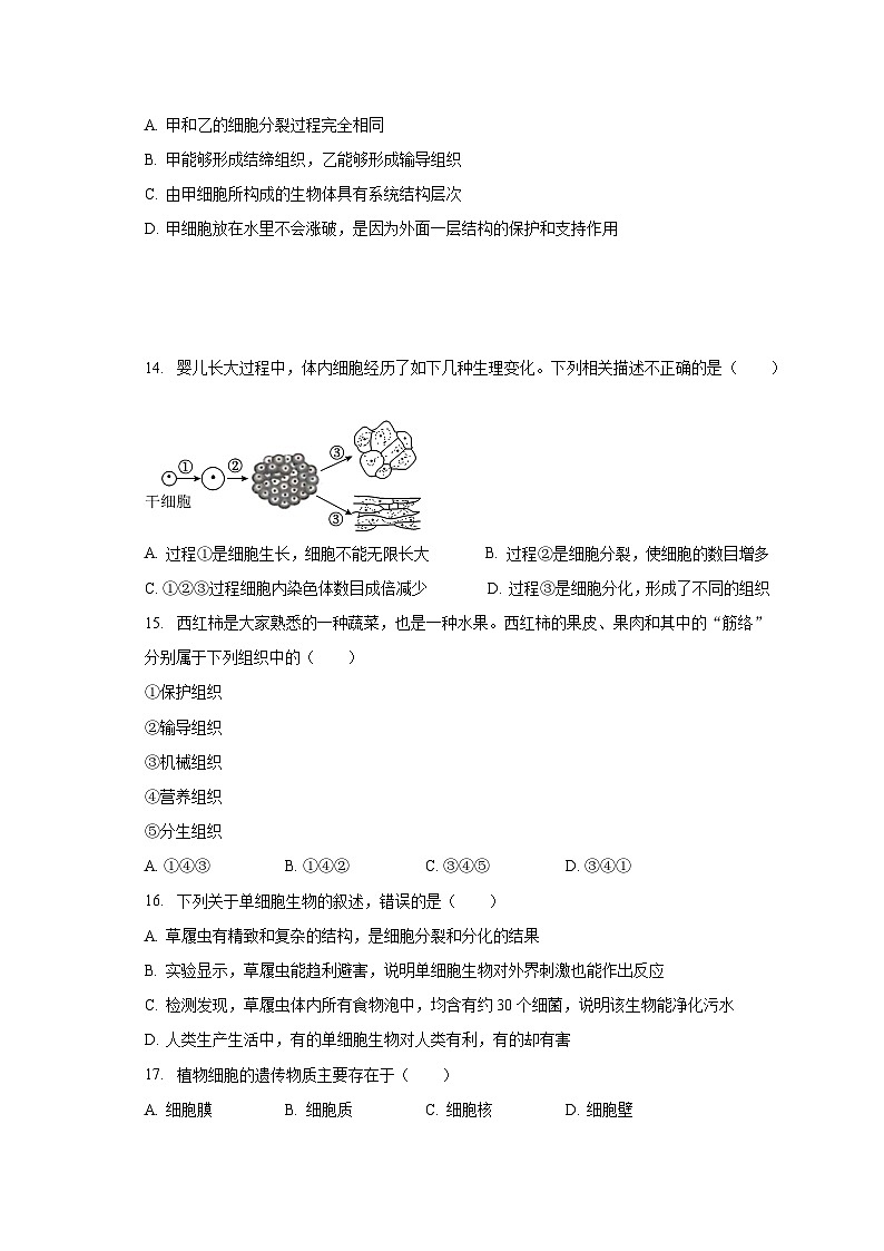 山东省枣庄市滕州市羊庄中学2023-2024学年七年级上学期开学生物试卷（含答案）03