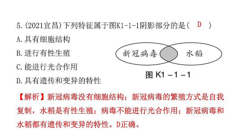 中考生物复习第一单元生物和生物圈第一章认识生物课件06