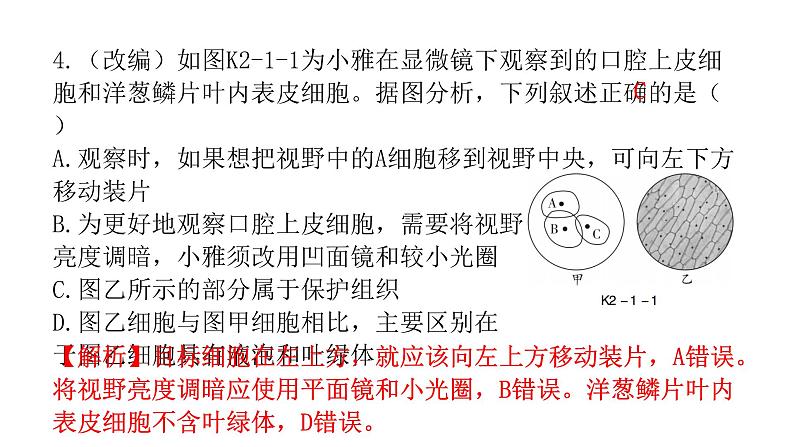 中考生物复习第二单元生物体的结构层次第一章细胞是生命活动的基本单位课件第5页