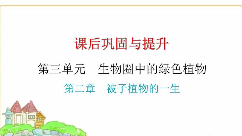 中考生物复习第三单元生物圈中的绿色植物第二章被子植物的一生课件01