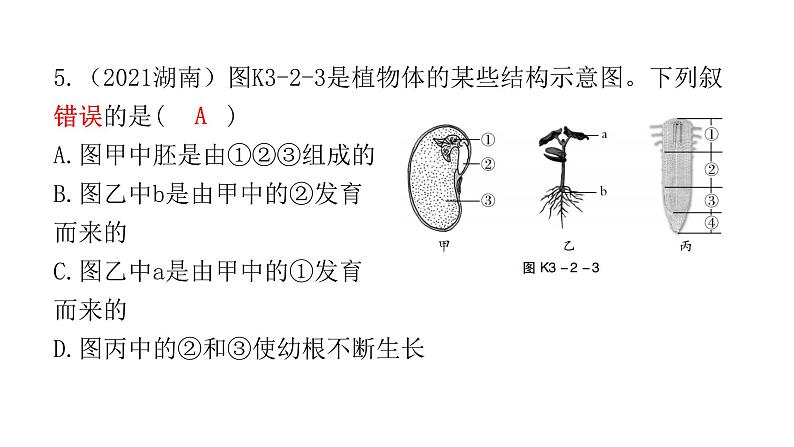 中考生物复习第三单元生物圈中的绿色植物第二章被子植物的一生课件06