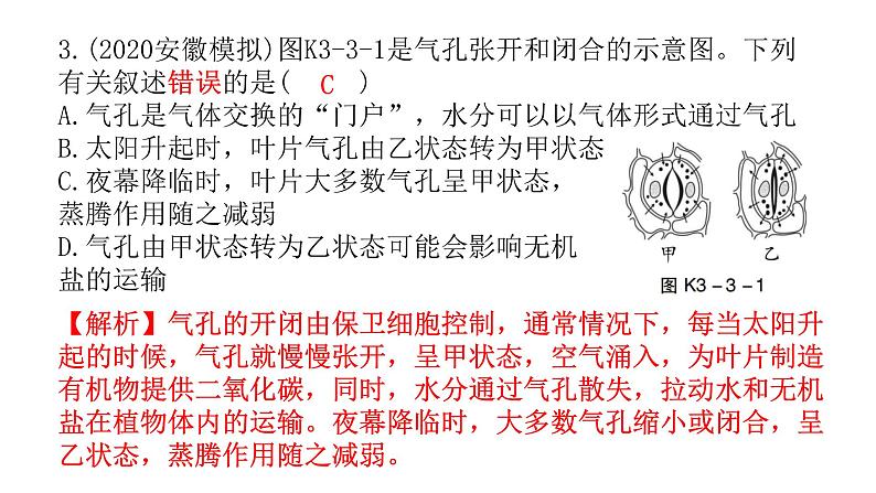 中考生物复习第三单元生物圈中的绿色植物第三章绿色植物与生物圈的水循环课件04