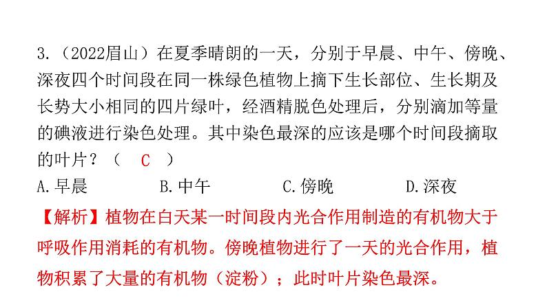 中考生物复习第三单元生物圈中的绿色植物第四章绿色植物是生物圈中有机物的制造者课件03