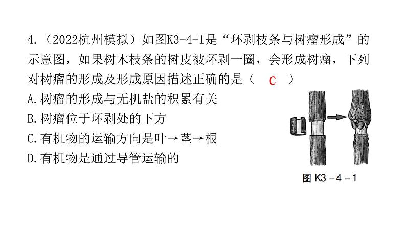 中考生物复习第三单元生物圈中的绿色植物第四章绿色植物是生物圈中有机物的制造者课件04