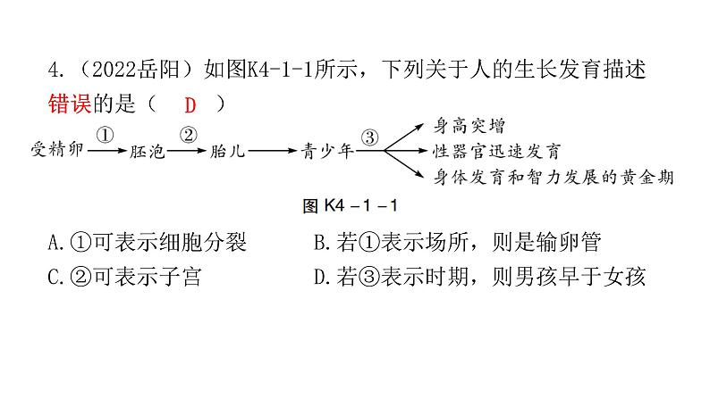 中考生物复习第四单元生物圈中的人第一章人的由来课件第5页