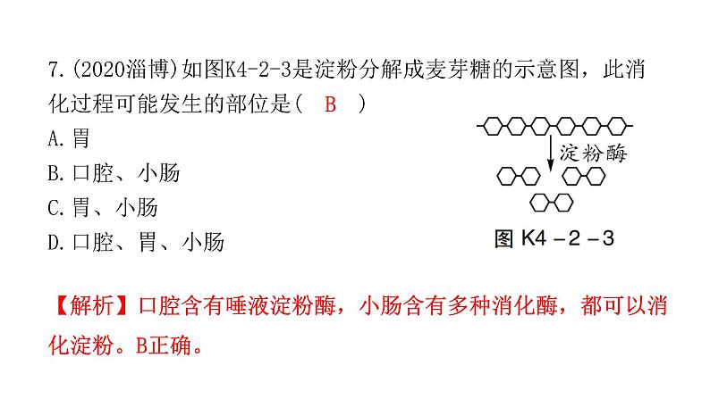 中考生物复习第四单元生物圈中的人第二章人体的营养课件第8页