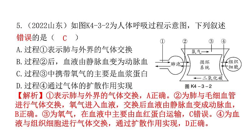 中考生物复习第四单元生物圈中的人第三章人体的呼吸课件第6页