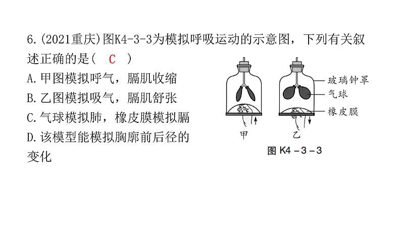 中考生物复习第四单元生物圈中的人第三章人体的呼吸课件第7页