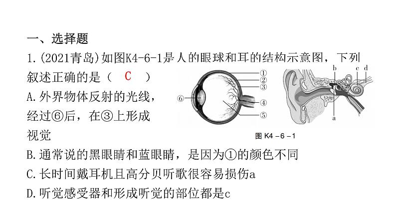 中考生物复习第四单元生物圈中的人第六章人体生命活动的调节第七章人类活动对生物圈的影响课件02