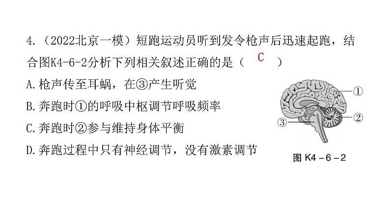 中考生物复习第四单元生物圈中的人第六章人体生命活动的调节第七章人类活动对生物圈的影响课件05