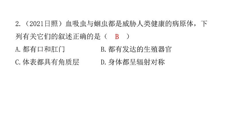 中考生物复习第五单元生物圈中的其他生物第一章动物的主要类群课件第3页