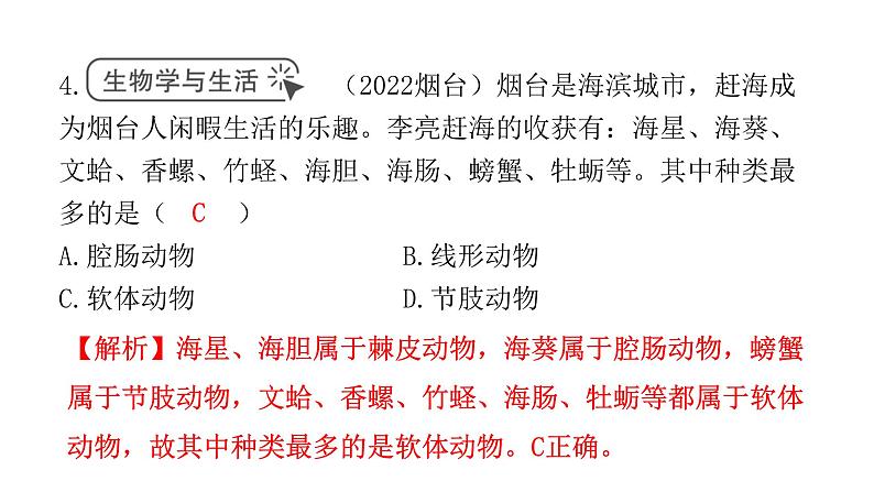 中考生物复习第五单元生物圈中的其他生物第一章动物的主要类群课件第5页