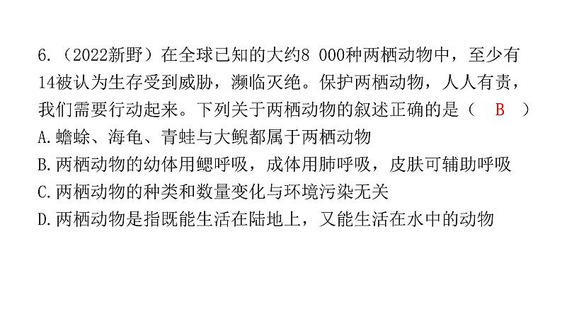 中考生物复习第五单元生物圈中的其他生物第一章动物的主要类群课件第7页