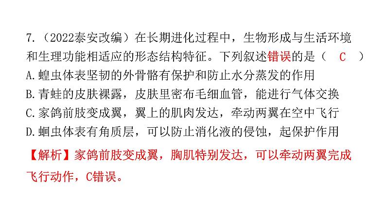 中考生物复习第五单元生物圈中的其他生物第一章动物的主要类群课件第8页