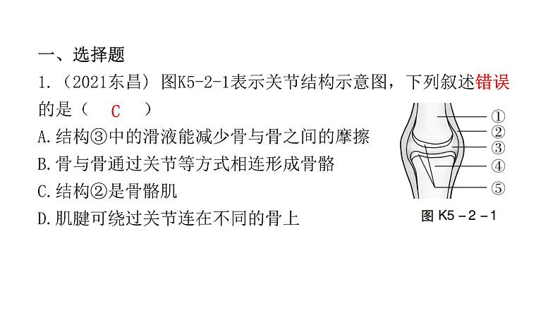 中考生物复习第五单元生物圈中的其他生物第二章动物的运动和行为第三章动物在生物圈中的作用课件02