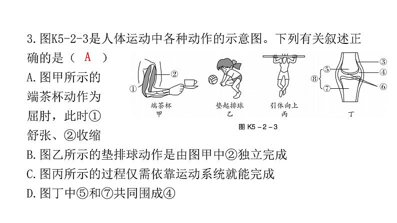 中考生物复习第五单元生物圈中的其他生物第二章动物的运动和行为第三章动物在生物圈中的作用课件04