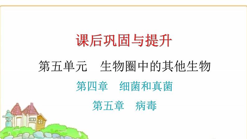 中考生物复习第五单元生物圈中的其他生物第四章细菌和真菌第五章病毒课件01