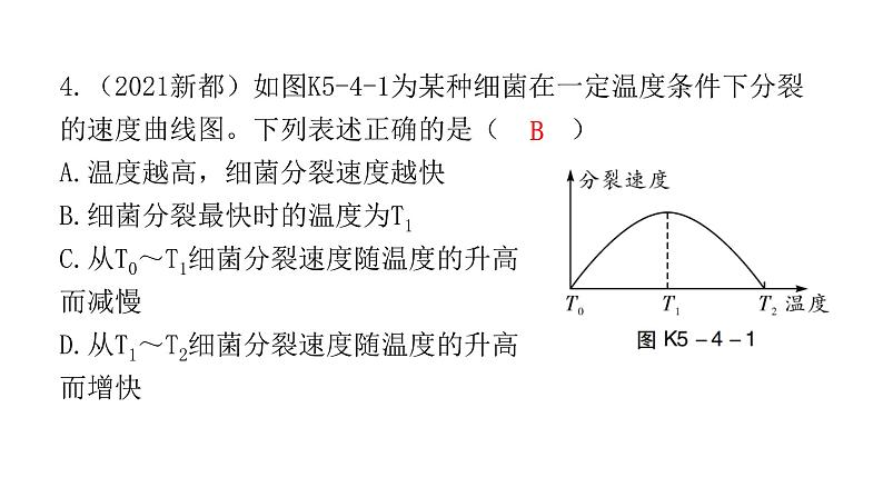 中考生物复习第五单元生物圈中的其他生物第四章细菌和真菌第五章病毒课件05