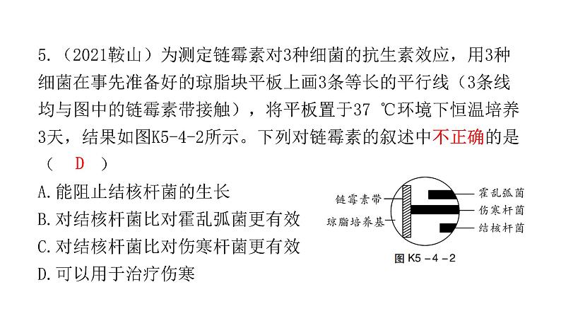 中考生物复习第五单元生物圈中的其他生物第四章细菌和真菌第五章病毒课件06