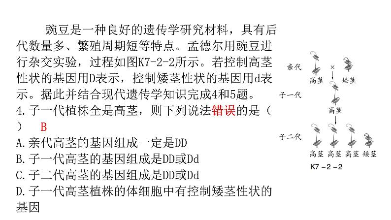 中考生物复习第七单元生物圈中生命的延续和发展第二章生物的遗传与变异课件05